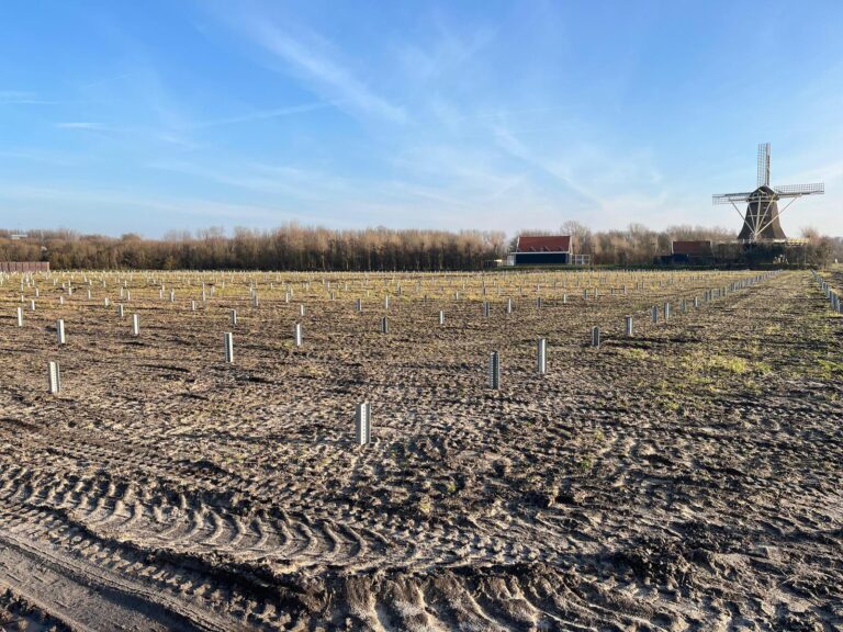 WhatsApp Image 2026-01-22 at 15.29.52